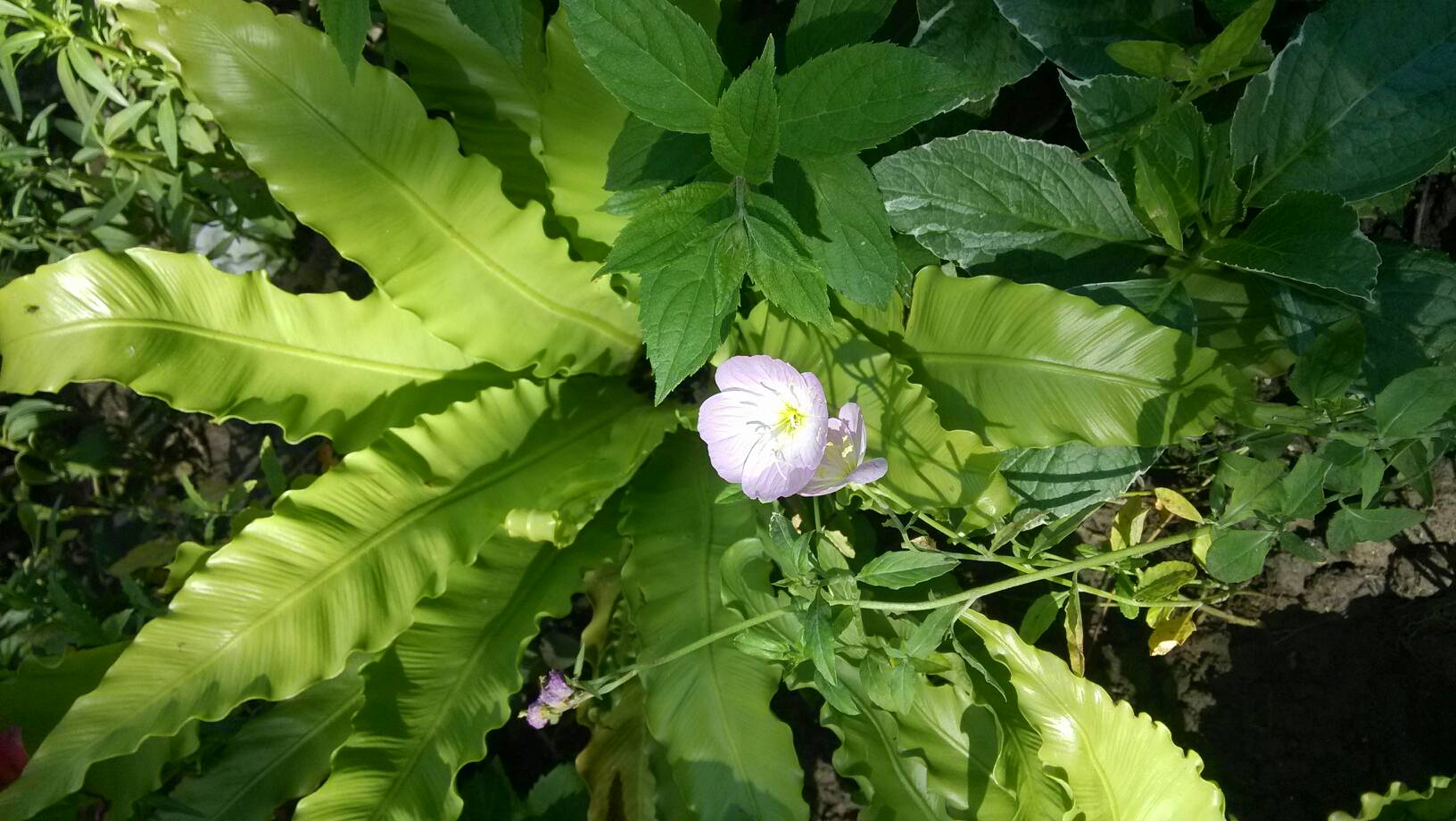 惩罚女友扒开🍑用手摸视频